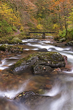 East Lyn River at Watersmeet in autumn, Exmoor, Devon, England, United Kingdom, Europe