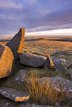 Higher Tor on Belstone Ridge on a winter morning, Dartmoor, Devon, England, United Kingdom, Europe