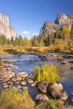 Merced River in Yosemite Valley, Yosemite National Park, UNESCO World Heritage Site, California, United States of America, North America