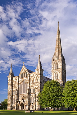 Salisbury Cathedral on a summer evening, Salisbury, Wiltshire, England, United Kingdom, Europe