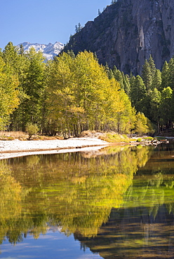 Autumn trees flank the River Merced in Yosemite Valley, California, United States of America, North America