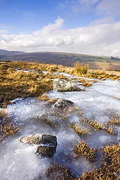 Ice on frozen moorland at Belstone Common, Dartmoor National Park, Devon, England, United Kingdom, Europe