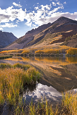 Fall colours line the banks of North Lake near Bishop, Eastern Sierras, California, United States of America, North America