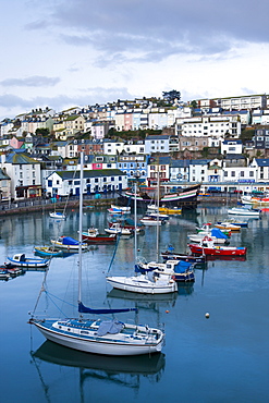 Brixham Old Harbour, Brixham, South Hams, Devon, England, United Kingdom, Europe