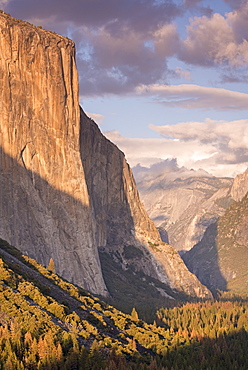 The enormous face of El Capitan towering above Yosemite Valley, Yosemite National Park, UNESCO World Heritage Site, California, United States of America, North America