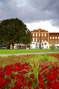 Flowers in bloom in Watts Park, Southampton City Centre, Hampshire, England, United Kingdom, Europe