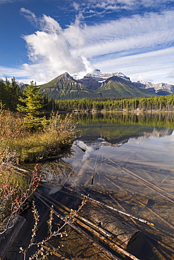 Autumnal morning at Herbert Lake in the Canadian Rockies, Banff National Park, UNESCO World Heritage Site, Alberta, Canada, North America