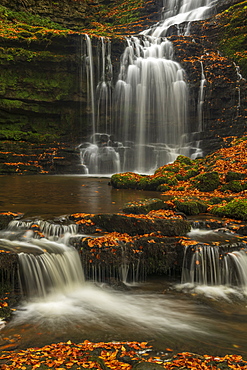 Scalebor Force waterfall in autumn, Yorkshire Dales National Park, North Yorkshire, England, United Kingdom, Europe