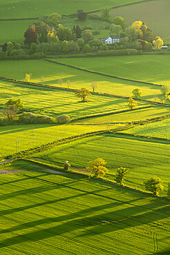 Lush rolling farmland in spring in the Brecon Beacons National Park, Powys, Wales, United Kingdom, Europe