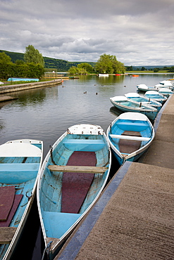 Pleasure boats moored at Llangorse Lake, Brecon Beacons National Park, Powys, Wales, United Kingdom, Europe