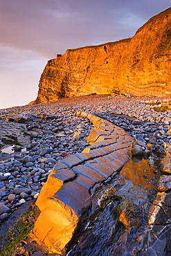 Ledges and cliffs bathed in golden sunlight, Kilve, Somerset, England, United Kingdom, Europe