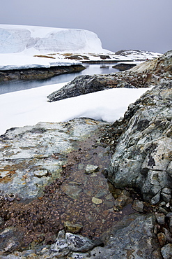 Snow covered coastline of White Island, Antarctic Peninsula, Antarctica, Polar Regions