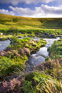 River Tavy running through Tavy Cleave in Dartmoor National Park, Devon, England, United Kingdom, Europe