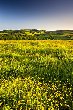 Rolling countryside near Wheddon Cross, Exmoor National Park, Somerset, England, United Kingdom, Europe