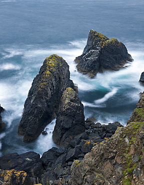 Rocky coastal outcrop The Crowns at Botallack, Cornwall, England, United Kingdom, Europe