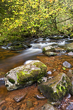 Autumn river scene on the River Caerfanell at Blaen-y-glyn, Brecon Beacons National Park, Powys, Wales, United Kingdom, Europe