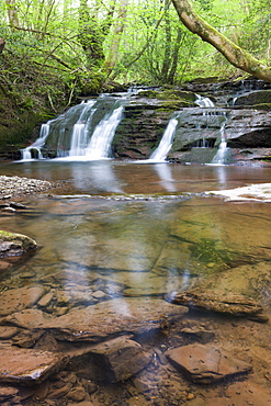 Waterfalls on the River Ennig at Pwll-y-Wrach Nature Reserve near Talgarth, Brecon Beacons National Park, Powys, Wales, United Kingdom, Europe