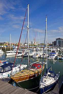 Yachts moored at Ocean Village Marina, Southampton, Hampshire, England, United Kingdom, Europe