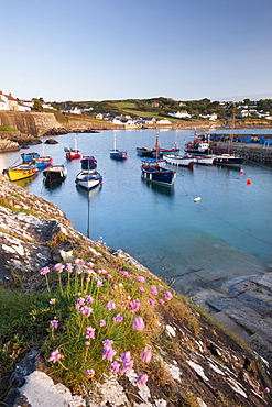 Early morning harbour ascene at the picturesque fishing village of Coverack on the Lizard Peninsula, Cornwall, England, United Kingdom, Europe