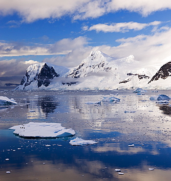 Penguins drifting on an iceberg through the Gerlache Straight, Antarctica, Polar Regions