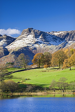 Snow dusted Langdale Pikes viewed from the shores of Loughrigg Tarn in autumn, Lake District National Park, Cumbria, England, United Kingdom, Europe