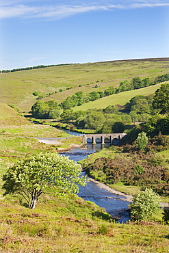 Medieval Landacre Bridge crossing the River Barle, Exmoor, Somerset, England, United Kingdom, Europe