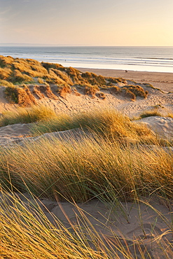 Saunton Sands from Braunton Burrows on a summer evening, Devon, England, United Kingdom, Europe