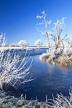 Hoar frosted trees and frozen river in winter time, Morchard Road, Devon, England, United Kingdom, Europe