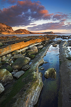 Late evening sunlight glows on the rock ledges at Mupe Bay, Jurassic Coast, UNESCO World Heritage Site, Dorset, England, United Kingdom, Europe