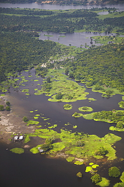 Aerial view of Amazon rainforest and tributary of Rio Negro, Manaus, Amazonas, Brazil, South America 