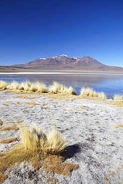 Landscape of Laguna Canapa on Altiplano, Potosi Department, Bolivia, South America