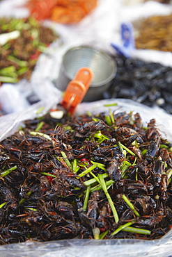 Deep fried insects at market, Phnom Penh, Cambodia, Indochina, Southeast Asia, Asia 