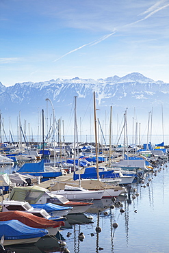 Ouchy harbour, Lausanne, Vaud, Switzerland, Europe