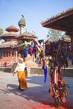 Tree with prayer flags, Durbar Square, UNESCO World Heritage Site, Kathmandu, Nepal, Asia