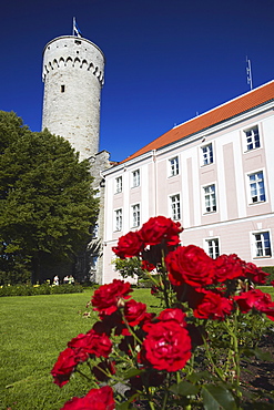 Pikk Hermann (Tall Hermann) Tower at Toompea Castle, Toompea, Tallinn, Estonia, Baltic States, Europe