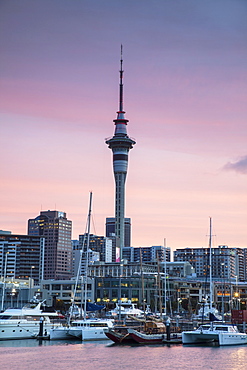 Viaduct Harbour and Sky Tower at sunset, Auckland, North Island, New Zealand, Pacific