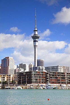 Viaduct Harbour and Sky Tower, Auckland, North Island, New Zealand, Pacific