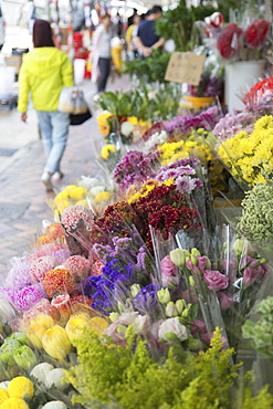 Flower Market, Mongkok, Kowloon, Hong Kong, China, Asia