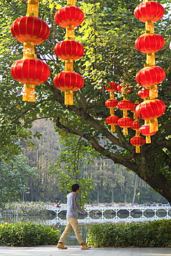 Lanterns in Lizhi Park, Shenzhen, Guangdong, China, Asia