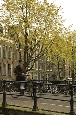 Man cycling over bridge on Lauriergracht canal, Amsterdam, Netherlands, Europe