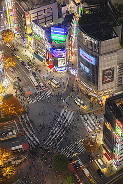 Shibuya Crossing at night, Shibuya, Tokyo, Honshu, Japan, Asia