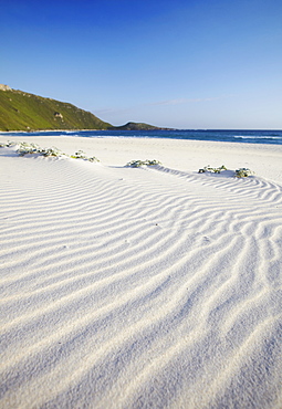 Conspicuous Cliffs beach, Walpole, Western Australia, Australia, Pacific