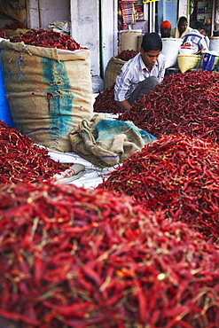 Vendor selling chillies at market, Bundi, Rajasthan, India, Asia