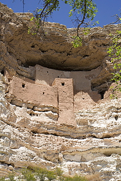 Cliff dwelling of Southern Sinagua farmers, built in the early 1100s CE (Common Era), a five storey, 20 room structure, Montezuma Castle National Monument, Arizona, United States of America, North America