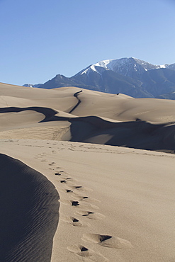 Sand dunes in the Great Sand Dunes National Park and Preserve, with Sangre Cristo Mountains in the background, Colorado, United States of America, North America