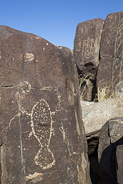 Bureau of Land Management, Three Rivers Petroglyph Site, rock carvings created by the Jornada Mogollon people during the 15th century, New Mexico, United States of America, North America