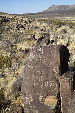 Bureau of Land Management, Three Rivers Petroglyph Site, rock carvings created by the Jornada Mogollon people during the 15th century, New Mexico, United States of America, North America