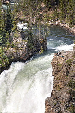 Upper Falls, Yellowstone River, Yellowstone National Park, UNESCO World Heritage Site, Wyoming, United States of America, North America