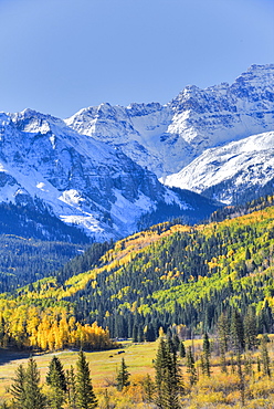 Fall Colors, Road 7, Sneffels Range in the background, near Ouray, Colorado, United States of America, North America