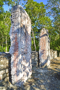 Stela 24 on right, and Stela 23 on left, on top of Structure VI, Calakmul Mayan Archaeological Site, UNESCO World Heritage Site, Campeche, Mexico, North America